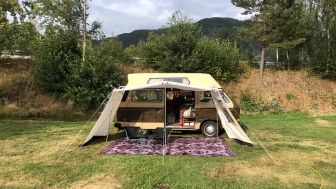 Charlie – VW T3 Adventurewagon Automatic - California Imported