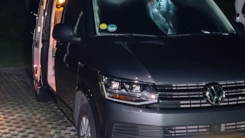 Déesse – VWCalifornia Ocean