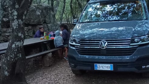 Mitango – Viva my Van