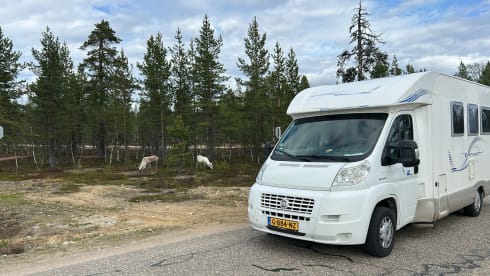 Camping-car 3 personnes très spacieux et confortable