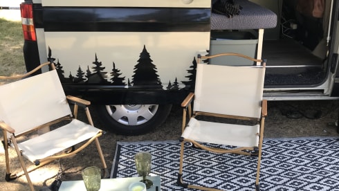 Freddie – 2-seater Volkswagen campervan from 2026