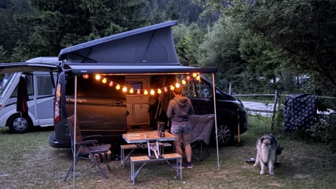 4p Ford campervan from 2024