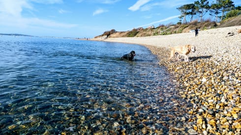 "Barney" –  Tour the coast and country in style 