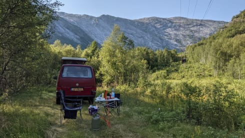 Dollie – Camperbus Volkswagen T4