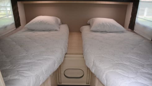 Challenger 337GA Graphite Premium Edition / Ford Transit 170ch BVA6