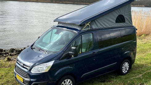 Nuggy  – 4p Ford bus from 2018