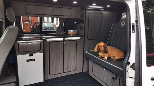 Vinny  – Vinny The VW Campervan