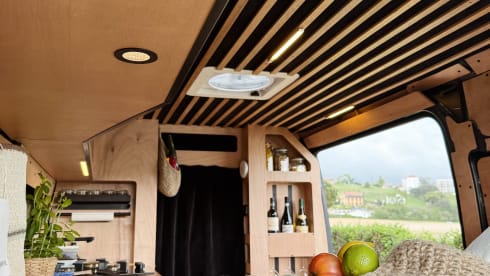3p Peugeot bus from 2017