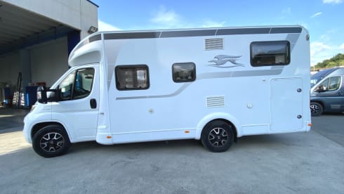 Laika Kosmo 209 – Laika Kosmo 209