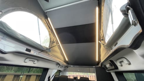 Camper Dethleffs per 4 persone, modello 2021