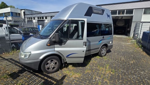 'The Nugget' – 4p Ford bus uit 2003