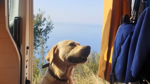 2-seater Nissan campervan from 2017