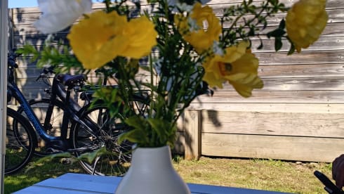 vakantie op 4 wielen - ultieme vrijheid