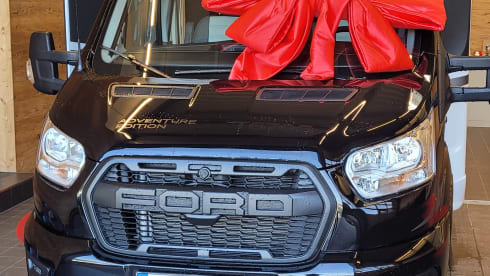 Sunny – Sunlight Adventure