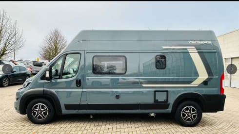 Easyrider – Autobus Weinsberg da 4 persone del 2024