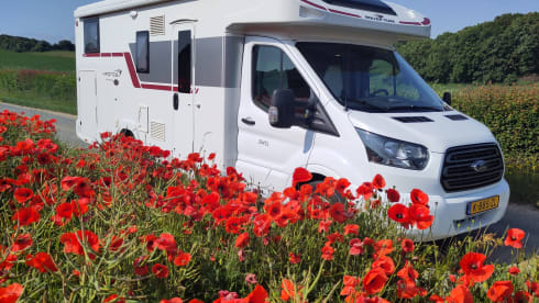 5p Roller Team semi-integrated from 2019