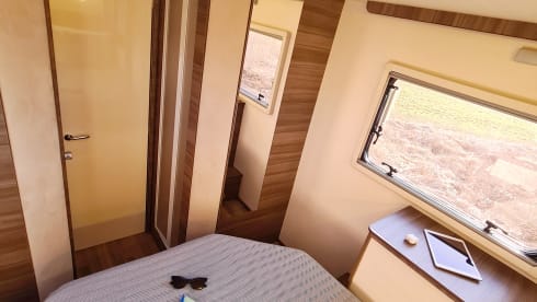 Roadie – Campignon Rimor Evo 66 Plus 2022