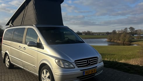 Freek – Marco Polo Viano