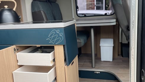 Family Adventure Van