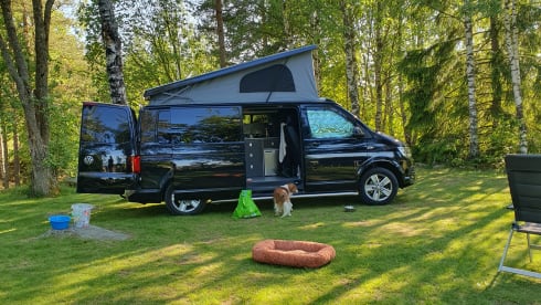 Black pearl – Volkswagen Transporter Camper automatic 