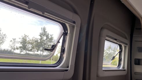 Amusanté – 2p Fiat bus from 2021 Automatic