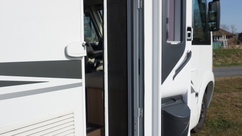 4p McLouis Yearling integrated uit 2021