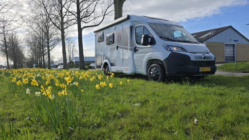 v60  – 3p Sunlight semi-integrated from 2026