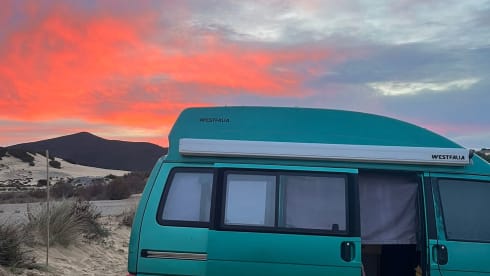 Andrea  – T4 California