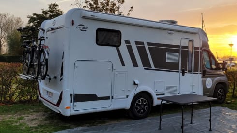 L&C – 4p Carado semi-integrated from 2024