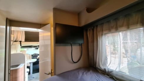 Elina – Ahorn Canada AE