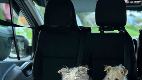 Trevor – 4 berth Renault campervan from 2016