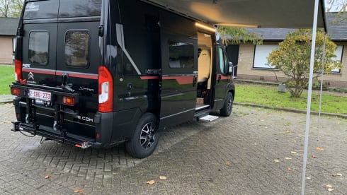 Black Beauty – Luxury Pilote bus camper for 2 persons