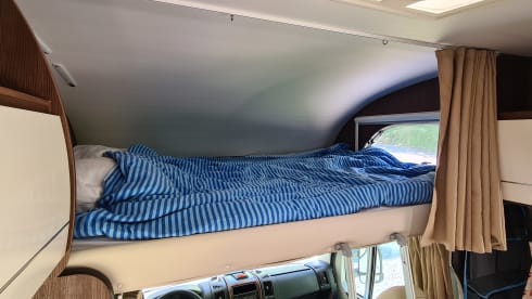 All-in holiday with the camping bear