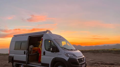 Taco – Fiat 