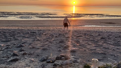 Mijn blauwe ridder – Combi Volkswagen 3 places de 1996