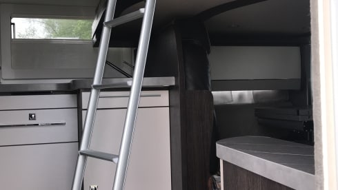5p Benimar integrated from 2022