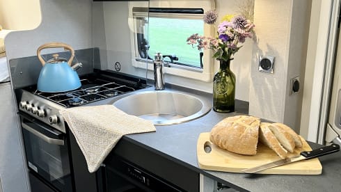 Wilf – 6 belt, 6 berth (2023)