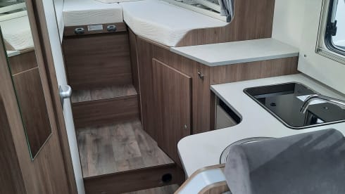 Blue – Carado T338 Edition 24 AUTOMATIC