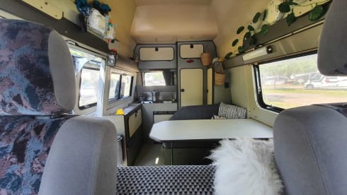 Baksteen – Nice, compact Fiat Ducato from 1986
