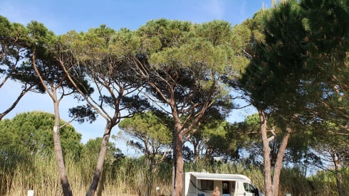 Beautiful luxury and compact (6.40 meters) motorhome with everything you wish for...