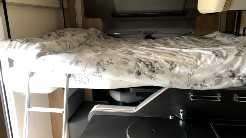 Flo – 2020 Roller Team T-Line 743 - Premium 4 Berth - Letto Posteriore Fisso