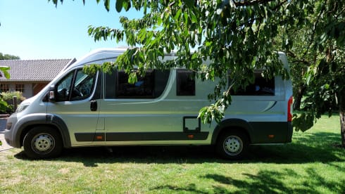 Pössl road cruiser from 2017 with longitudinal beds