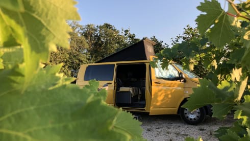 Het gele geluk 💛 – VW T5 yellow bus with modern interior