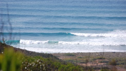 Charlie – Mercedes Charlie 308D