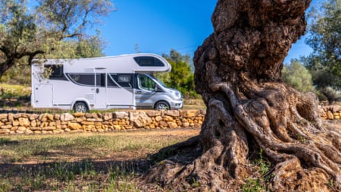 Benny – The family alcove with large garage