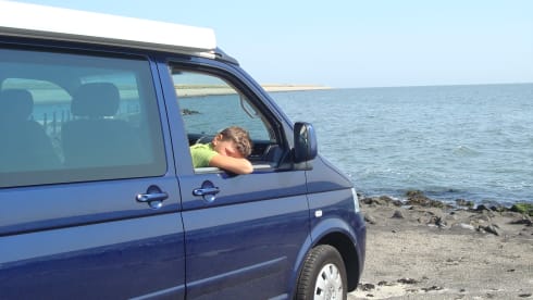 strong, tough VW T5 - California bus camper