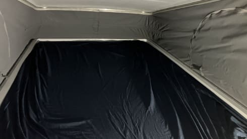4p Hymer bus from 2019