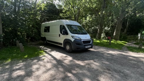 Rita – Rita the Boxer