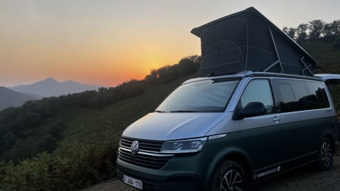 BEACH Green – Volkswagen California COAST Marrone/Grigio Ascot (2021)