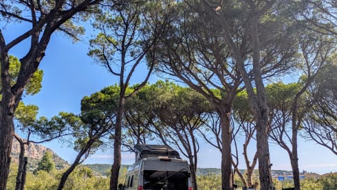 Malik  – 4p Benimar bus uit 2025